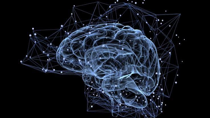 Neuroscience Workshop